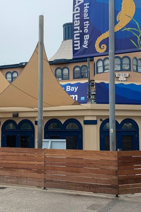 Meet marine animals at Heal the Bay