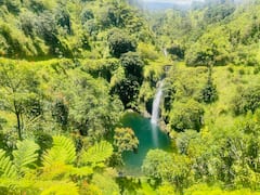 Road to Hana w/a local: waterfalls & hidden gems