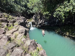 Road to Hana w/a local: waterfalls & hidden gems