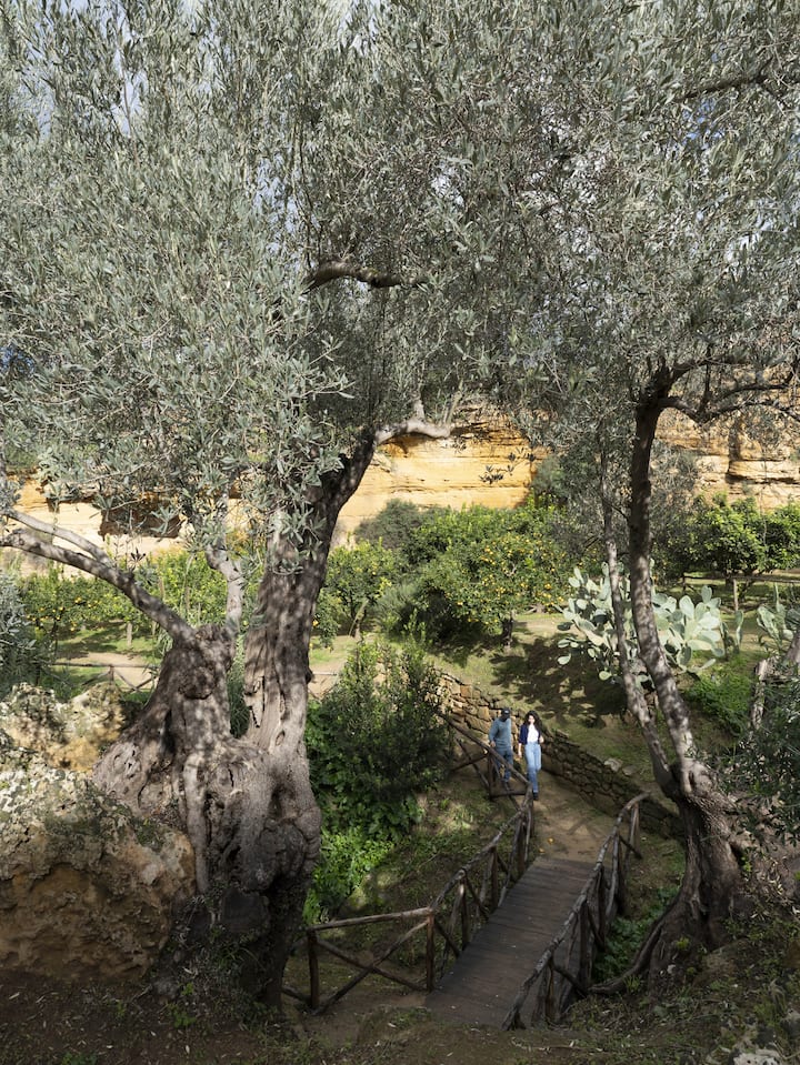 Guided tour of the Garden of Kolymbethra