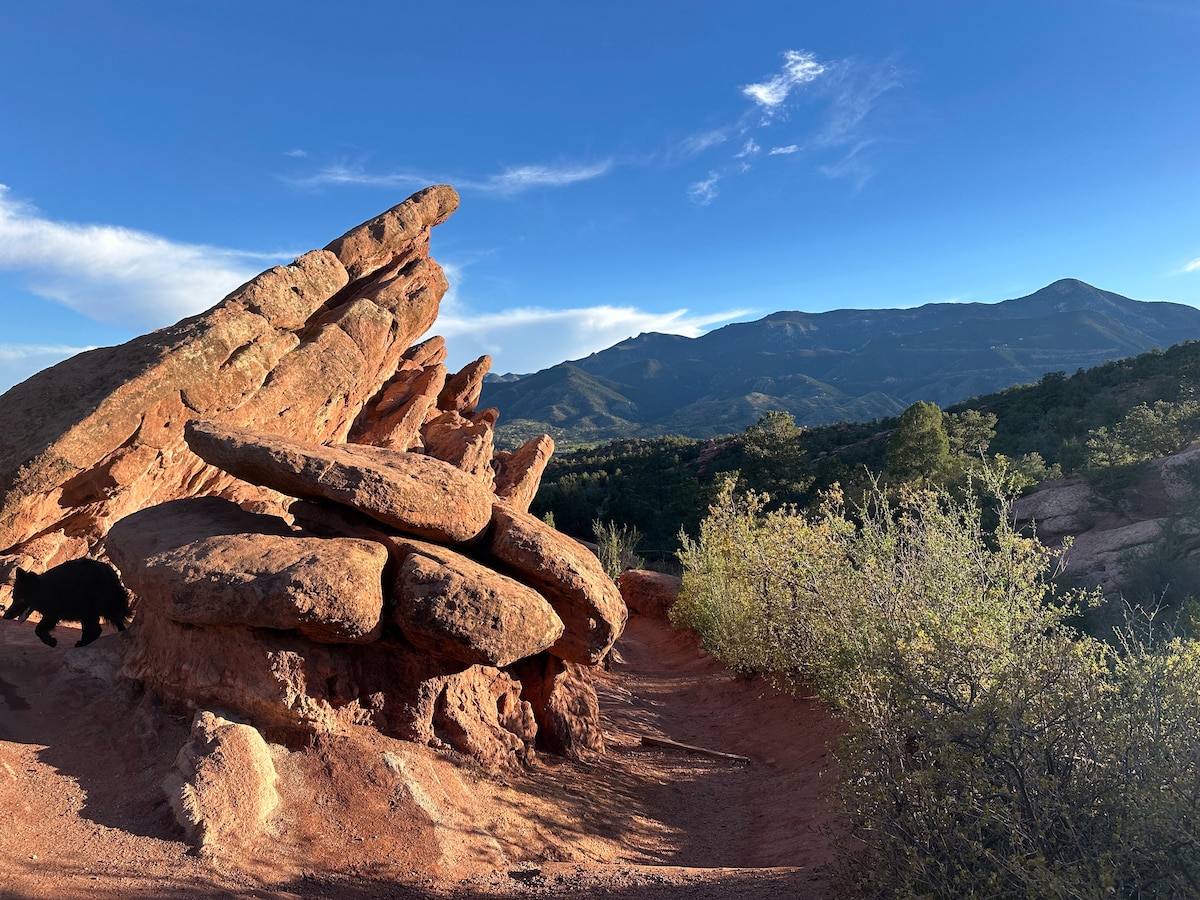 Discover wild paths with a local veteran