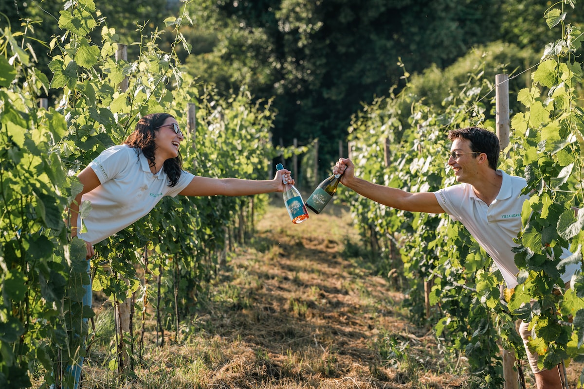 Visit our vineyards and taste authentic wines