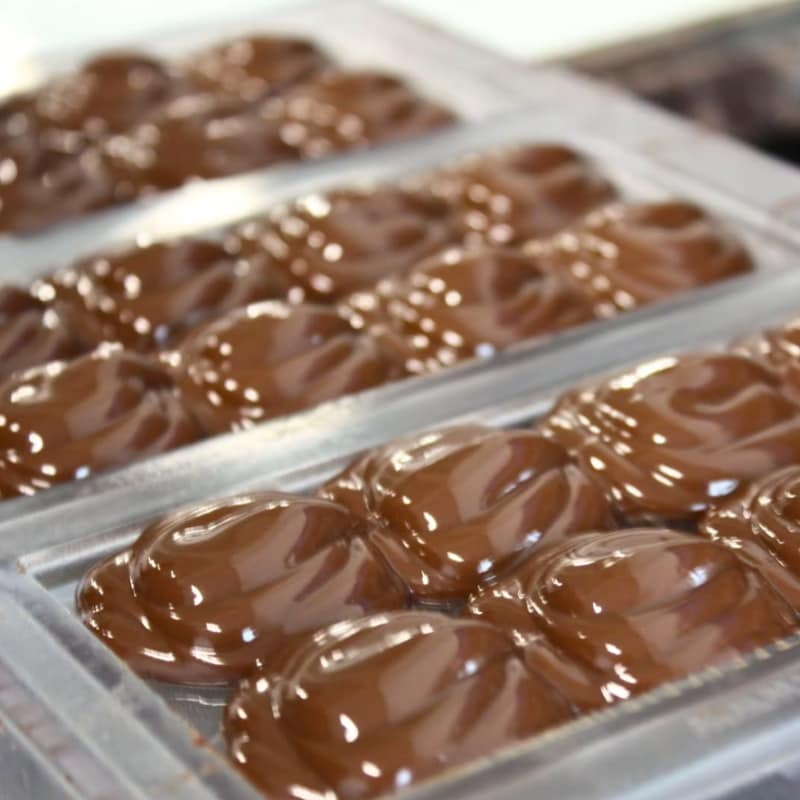 Taste Origin Cacao and Make Origin Chocolate