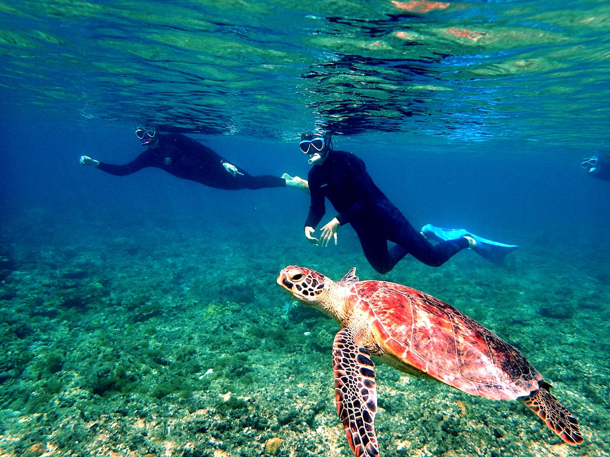 Kerama Islands Snorkeling Tour @Rental included