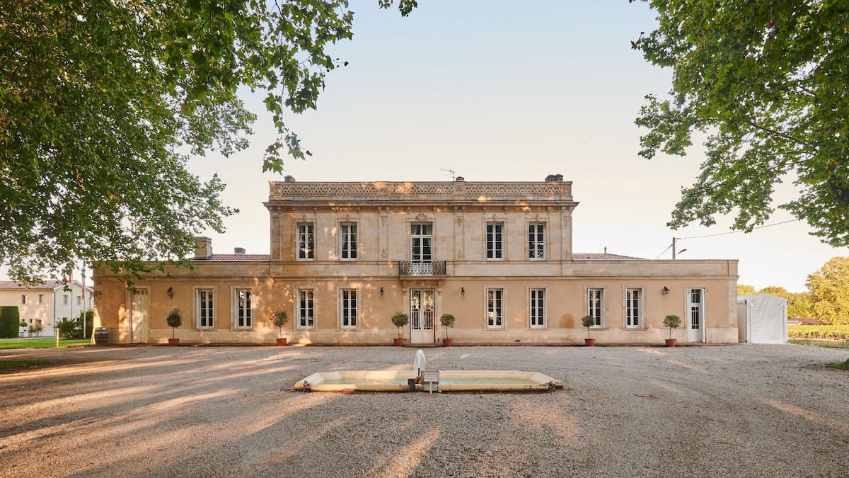 Vineyard and Château Discovery Tour