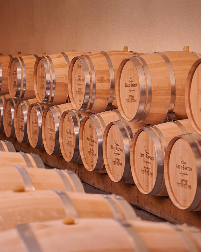 Vineyard and Château Discovery Tour