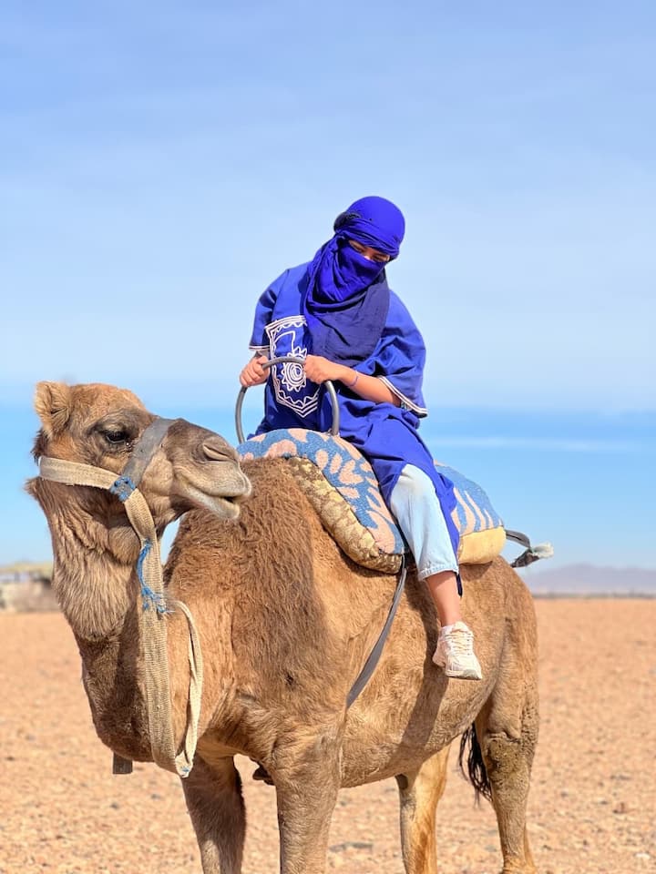 Marrakech: paseo en dromedario por el Palmeral