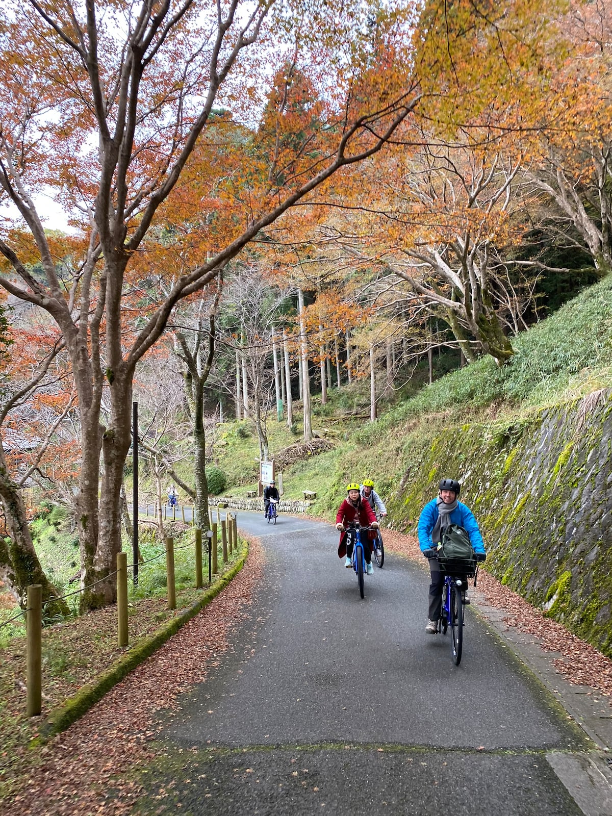 E-Bike Journey Through Japan’s Scenic Countryside