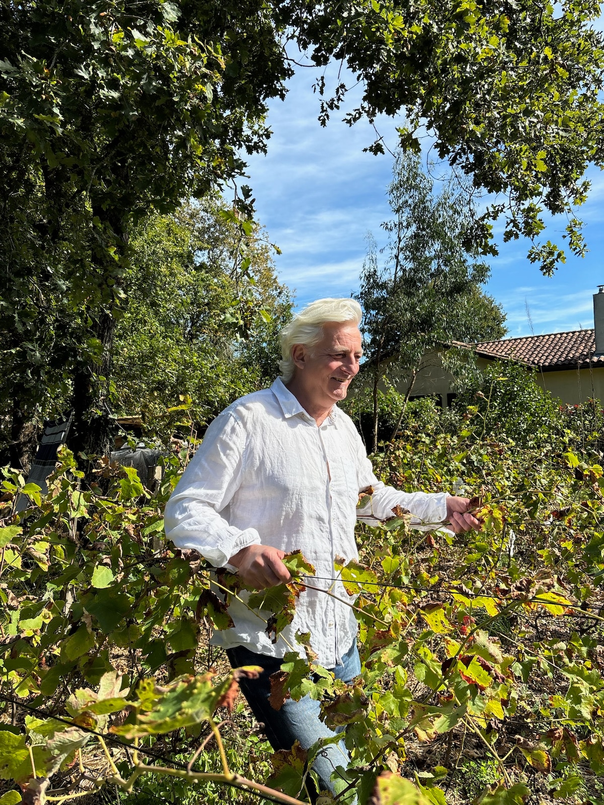 Discover your taste with a wine critic