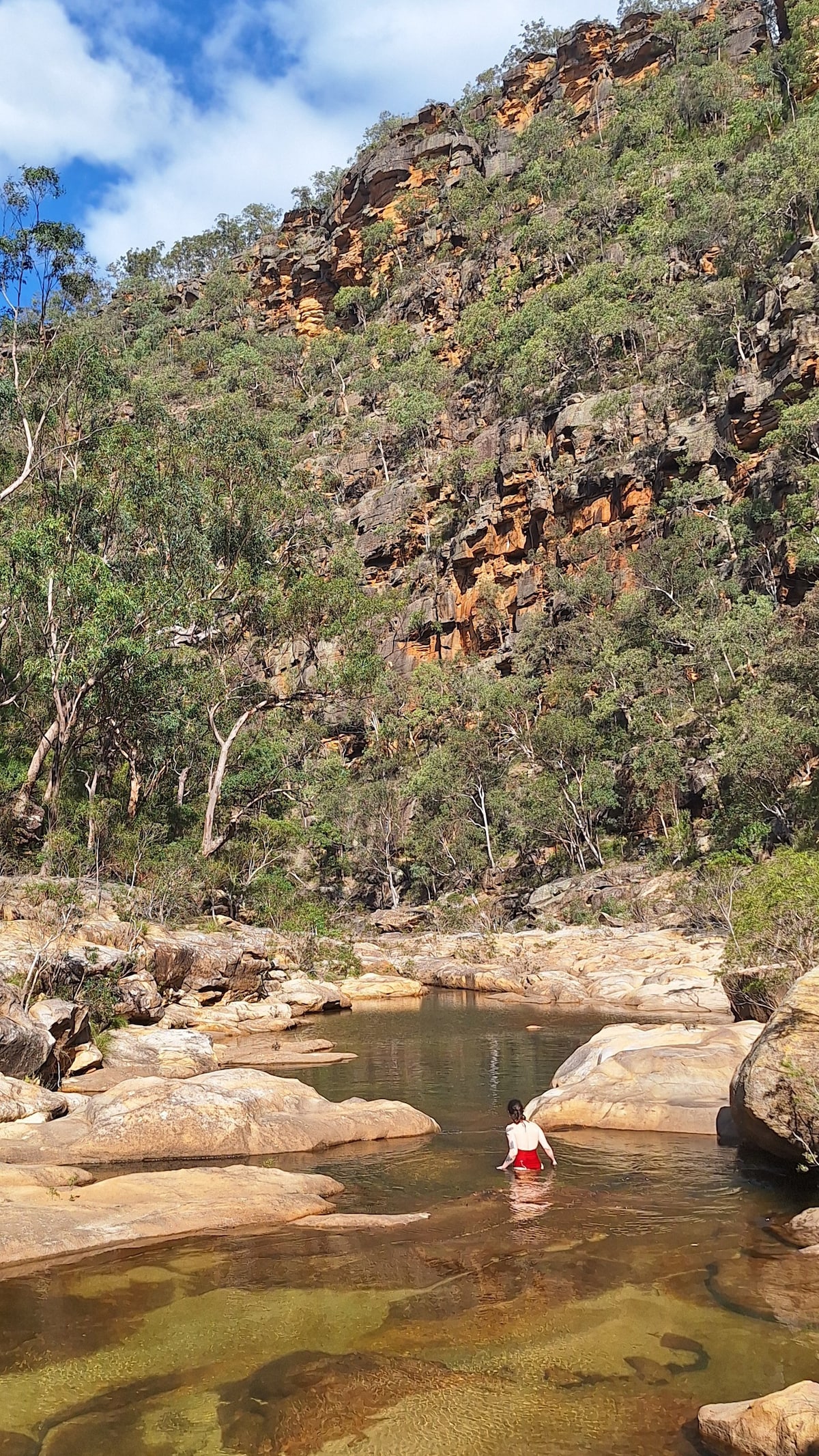 Blue Mountains 3 hr Eco Tour - Close to Sydney