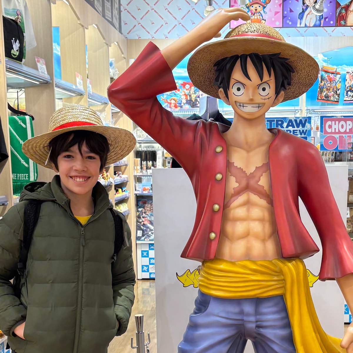 Anime Tour Kyoto: One Piece & Arashiyama Bamboo
