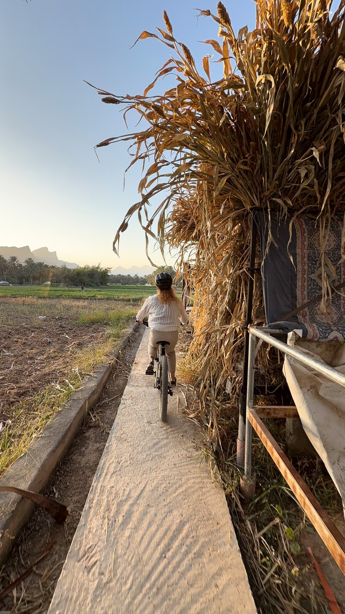 Cycle farm trails to Al Hamra’s old town