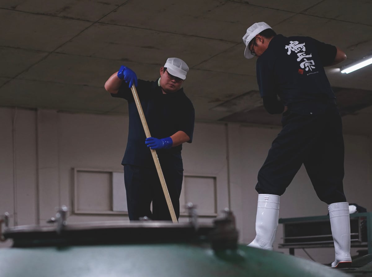 Experience at Hatomasamune
Sake tasting & brewery tour