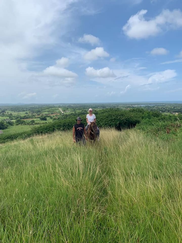 Ბუნებრივი სამოთხე პუერტო ესპერანსაში