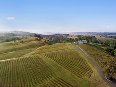 Disfruta de un brunch en Hunter Valley en Audrey Wilkinson