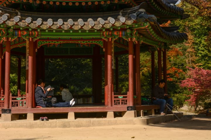 Tour por la tarde al palacio Changdeokgung