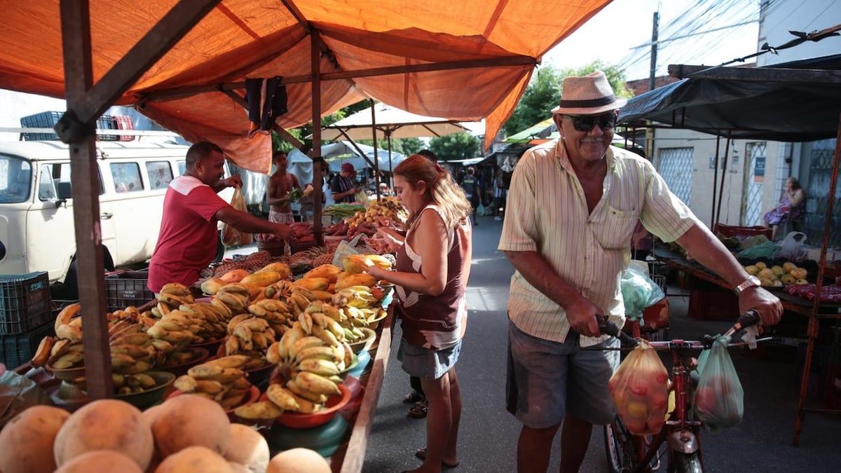 Forbidden Zone: Private Cultural Research Mission