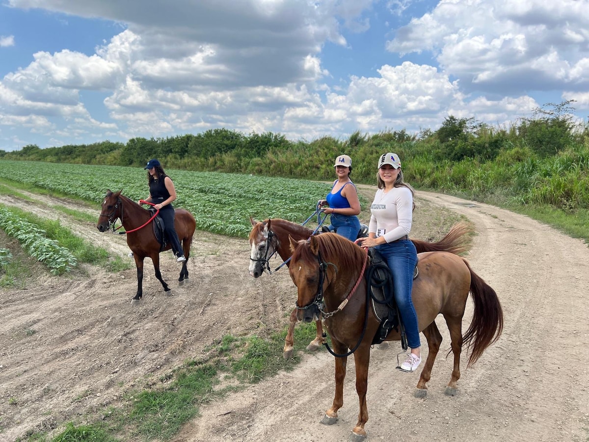 Saddle up for Loxahatchee trails