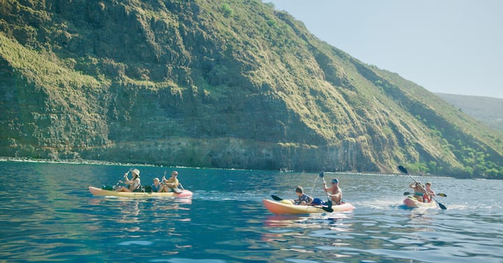 Visite matinale magique en kayak / plongée avec tuba à Kealakekua Bay