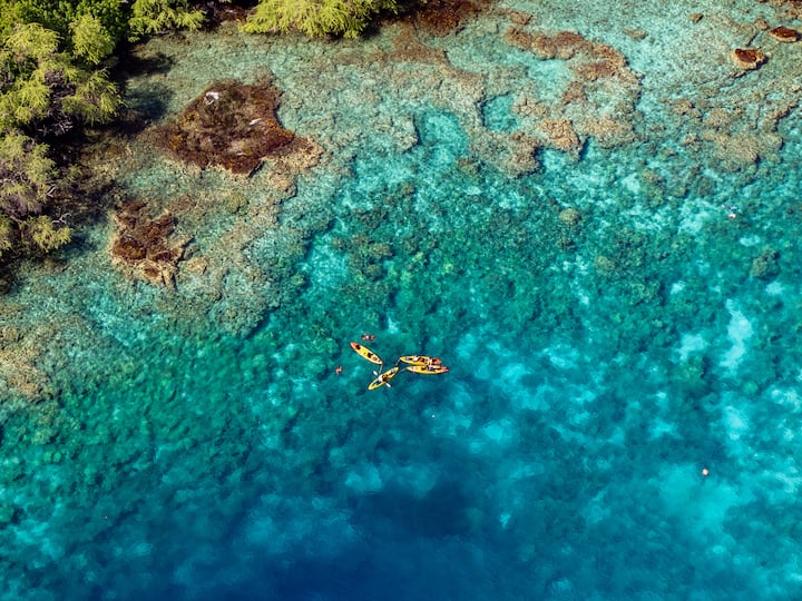 Visite matinale magique en kayak / plongée avec tuba à Kealakekua Bay