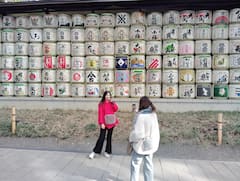 明治神宫花园漫步之旅：在东京的圣地中漫步