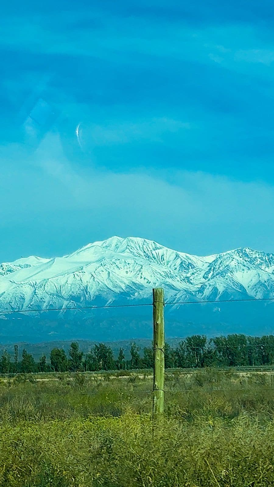 Sip and savor at a private vineyard