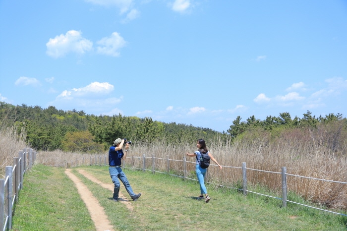 Hike and Taste makgeolli at a hidden brewery