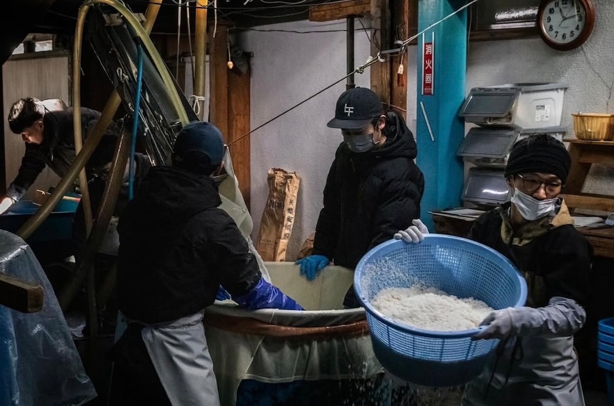 Experience at Toyokuni Sake Brewery
Sake tasting & brewery tour