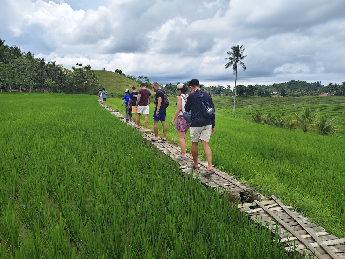 Anda Bohol: Caves, Waterfalls & Rice Terraces