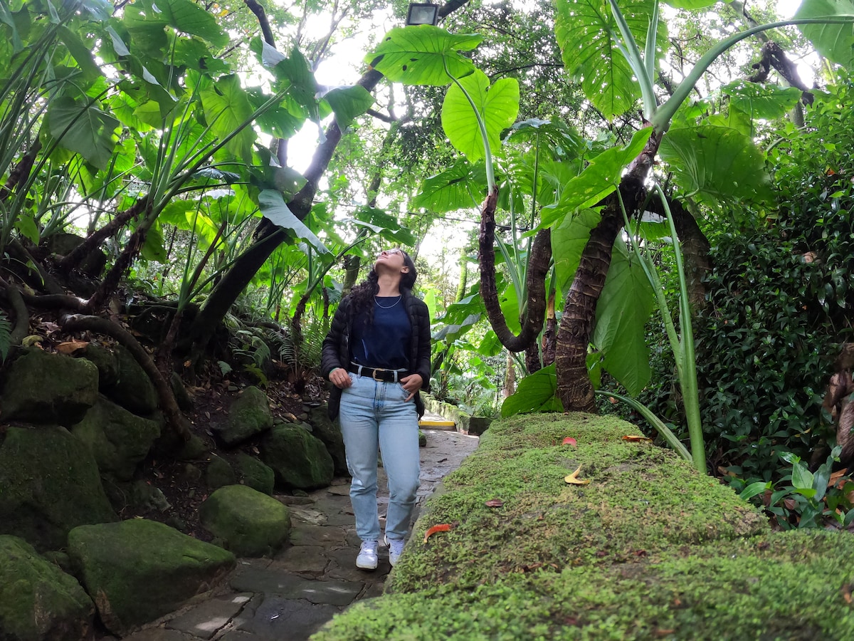 Botanical Garden and Paloquemao Market with fruits