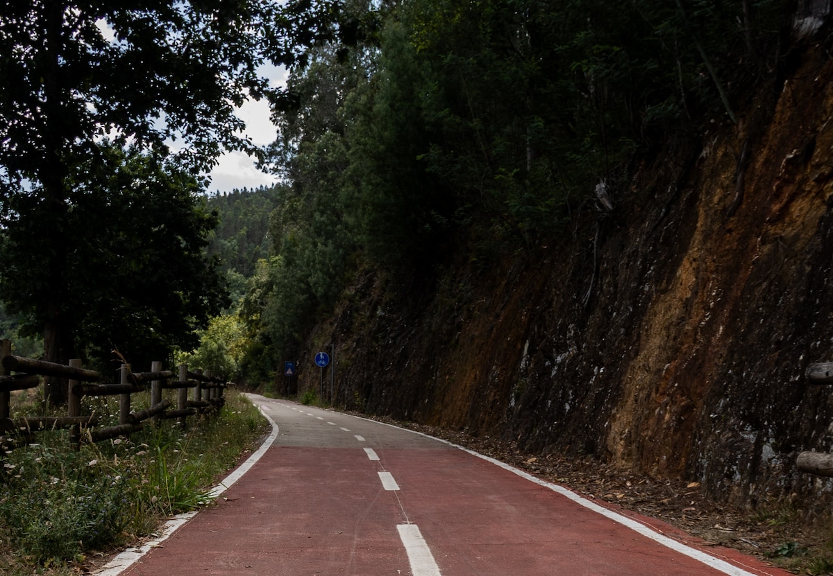 Oliveira de Frades: E-bike tour on the eco-track