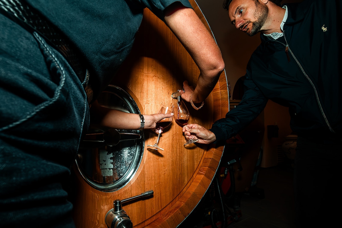 Wine tour and tasting from barrels and amphorae