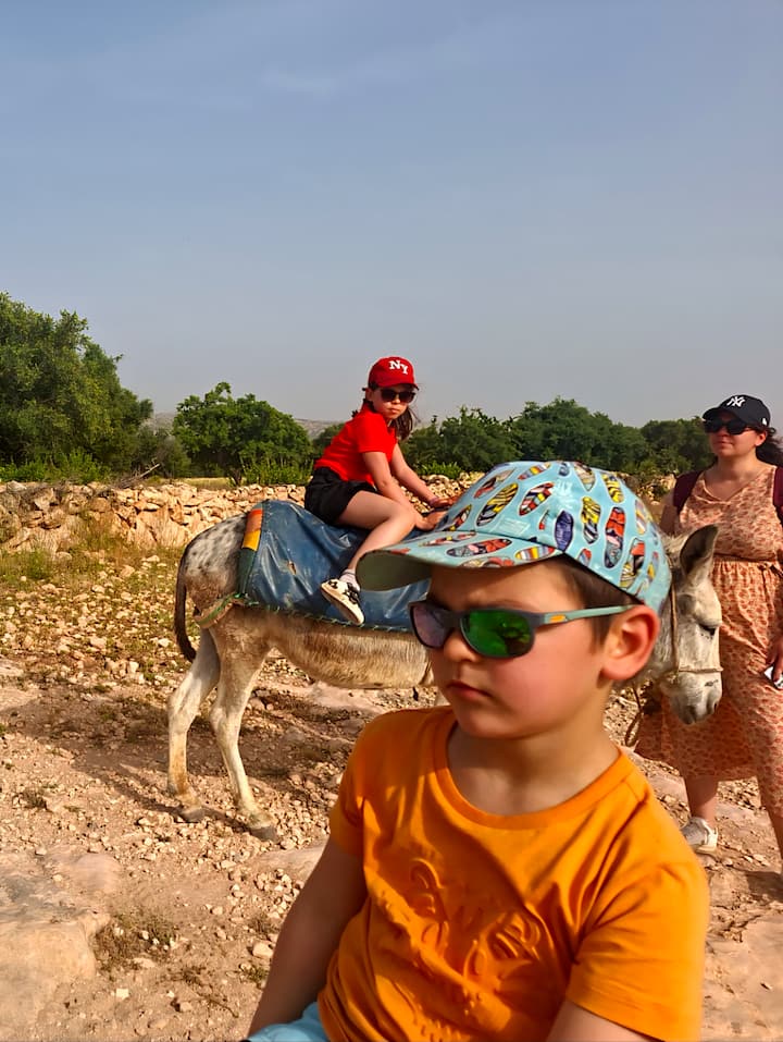 Paseo en burro bereber y té en Essaouira