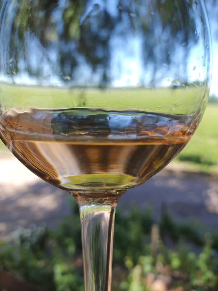 Coquimbito: Tembea katika Eneo la Mvinyo ukiwa na Mkazi