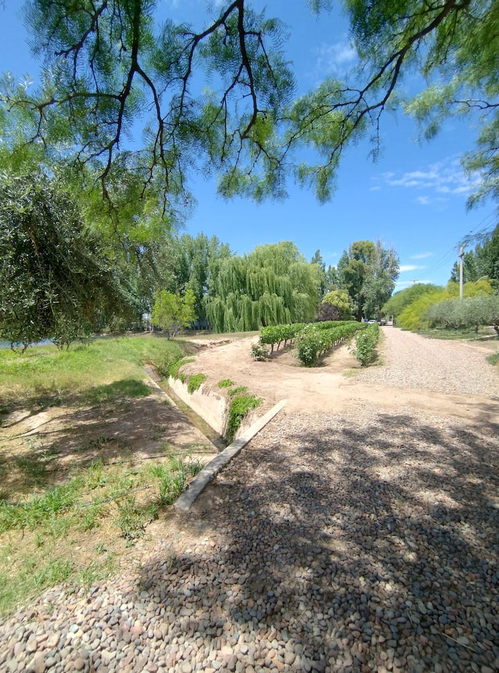 Coquimbito: Tembea katika Eneo la Mvinyo ukiwa na Mkazi