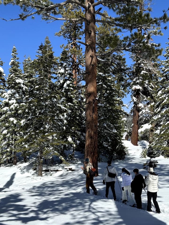 Сензационни живописни ски обувки в Южен Тахо