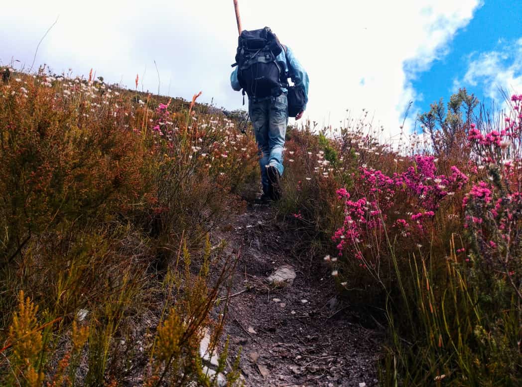 Walk and enjoy Yoga in the Langeberg mountains