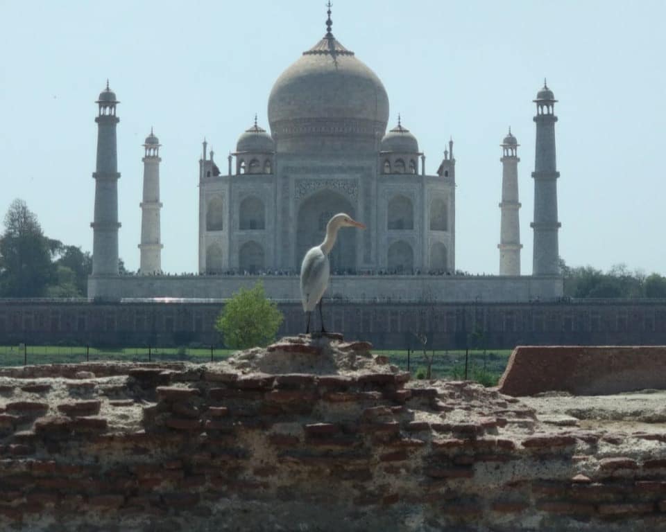 Explore Agra with the Taj Mahal and more
