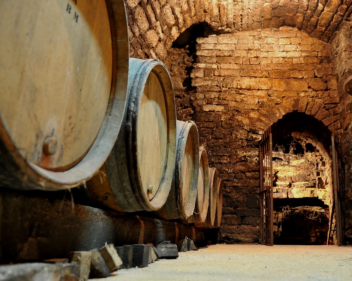 Wine cellar tour and tasting of the estates wines