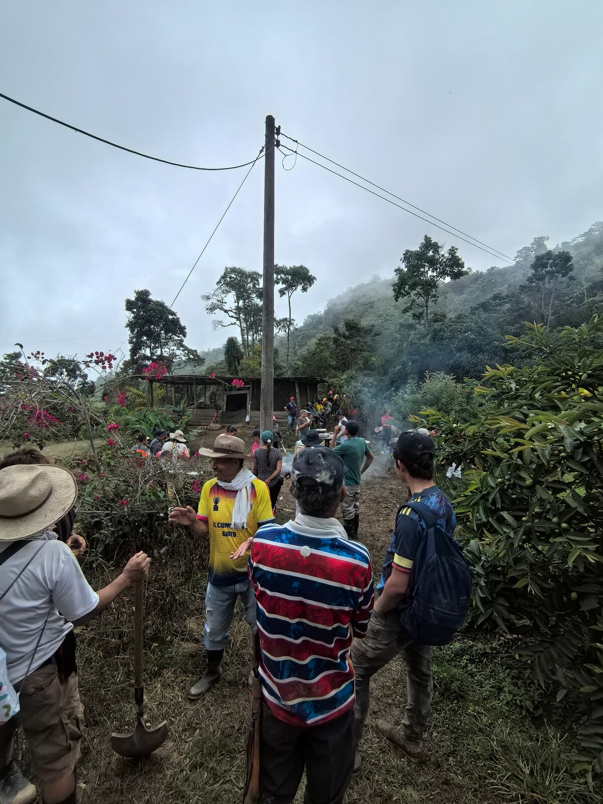 Between Mountains and Songs