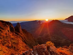 Excursión con acompañamiento turístico
