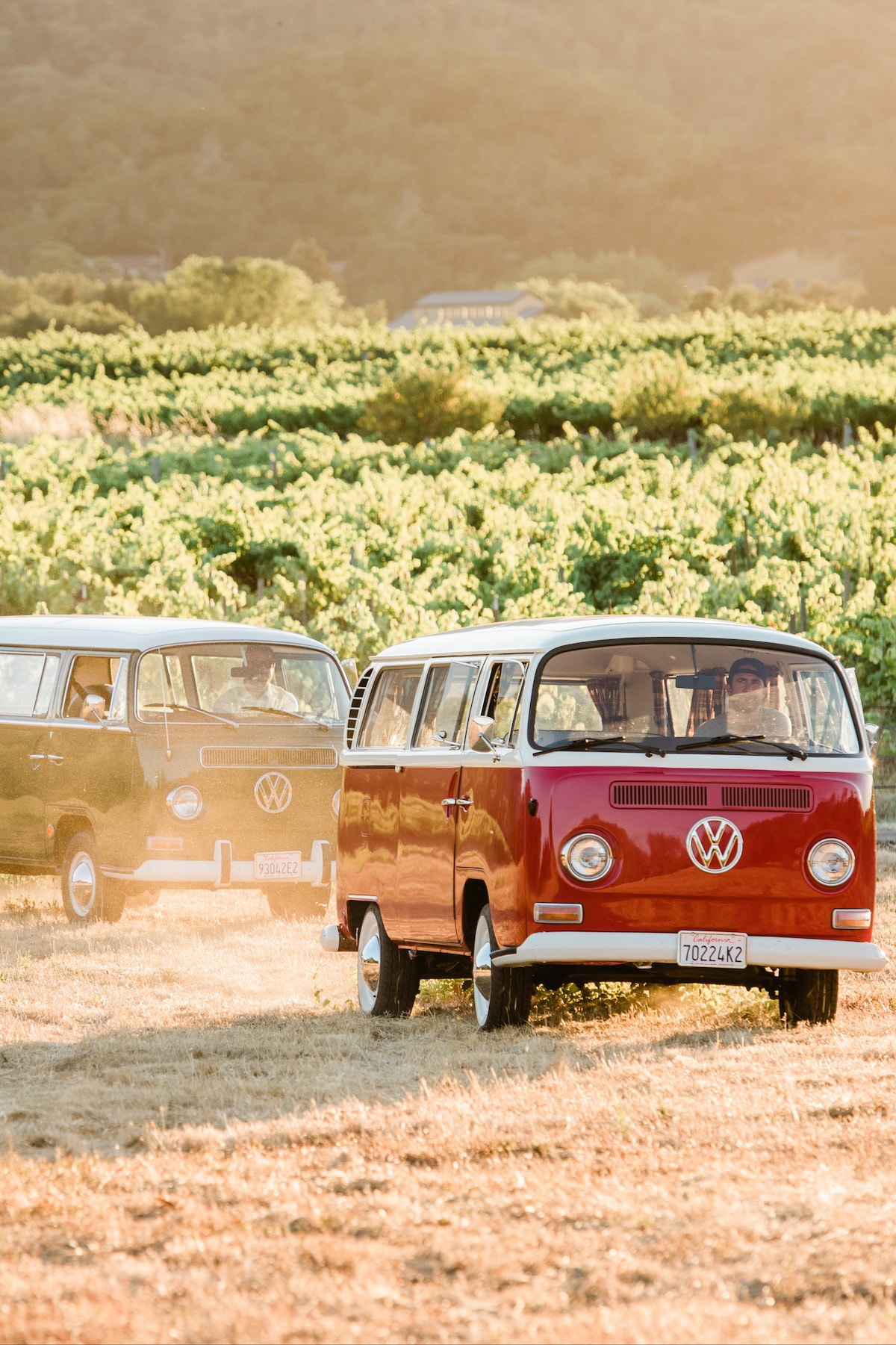 Explore Healdsburg in a vintage Volkswagen