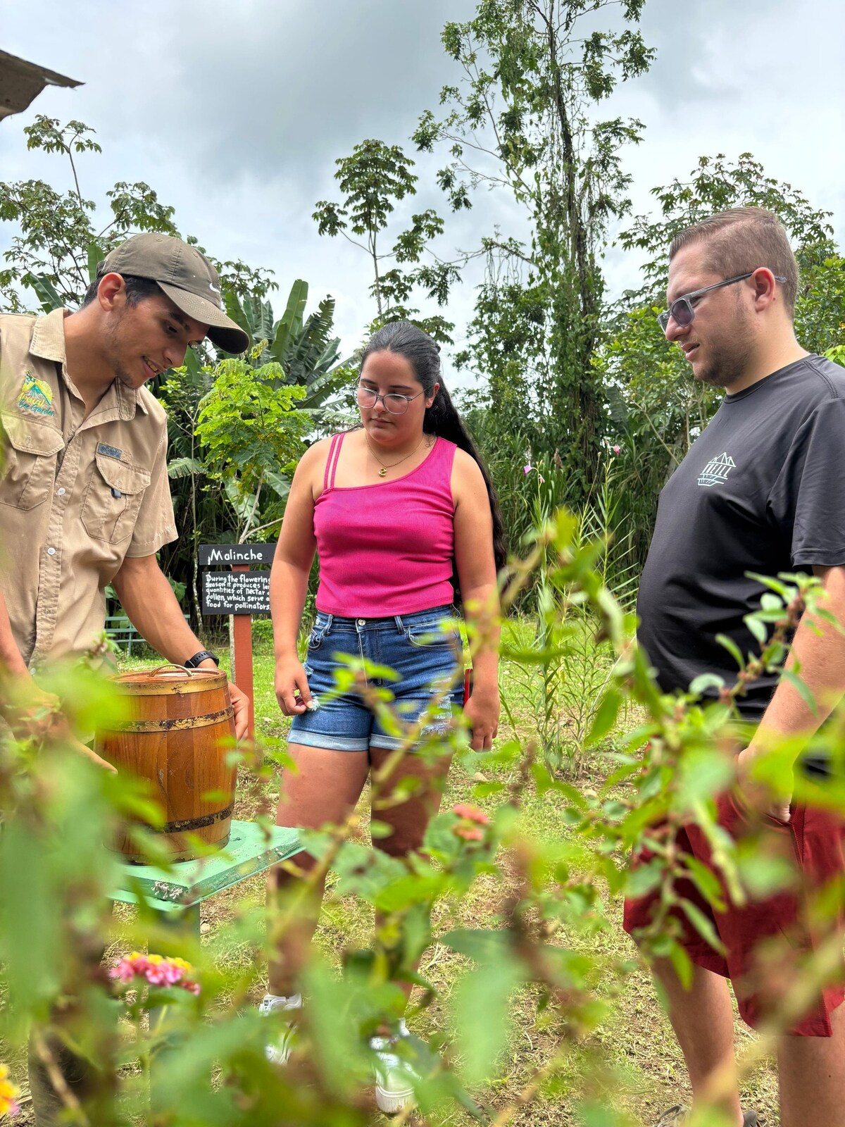 Discover the healing honey of native bees