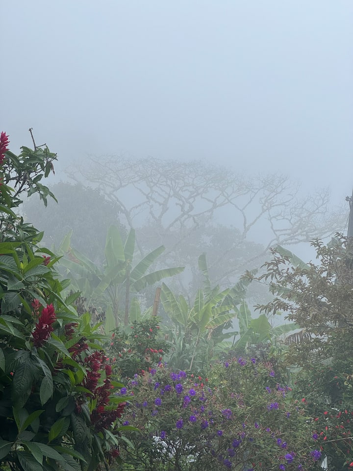 Შექმენით თქვენი საკუთარი ყავა