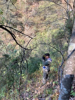 在古老的森林和采矿考古遗址之间徒步旅行
