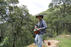 在古老的森林和采矿考古遗址之间徒步旅行