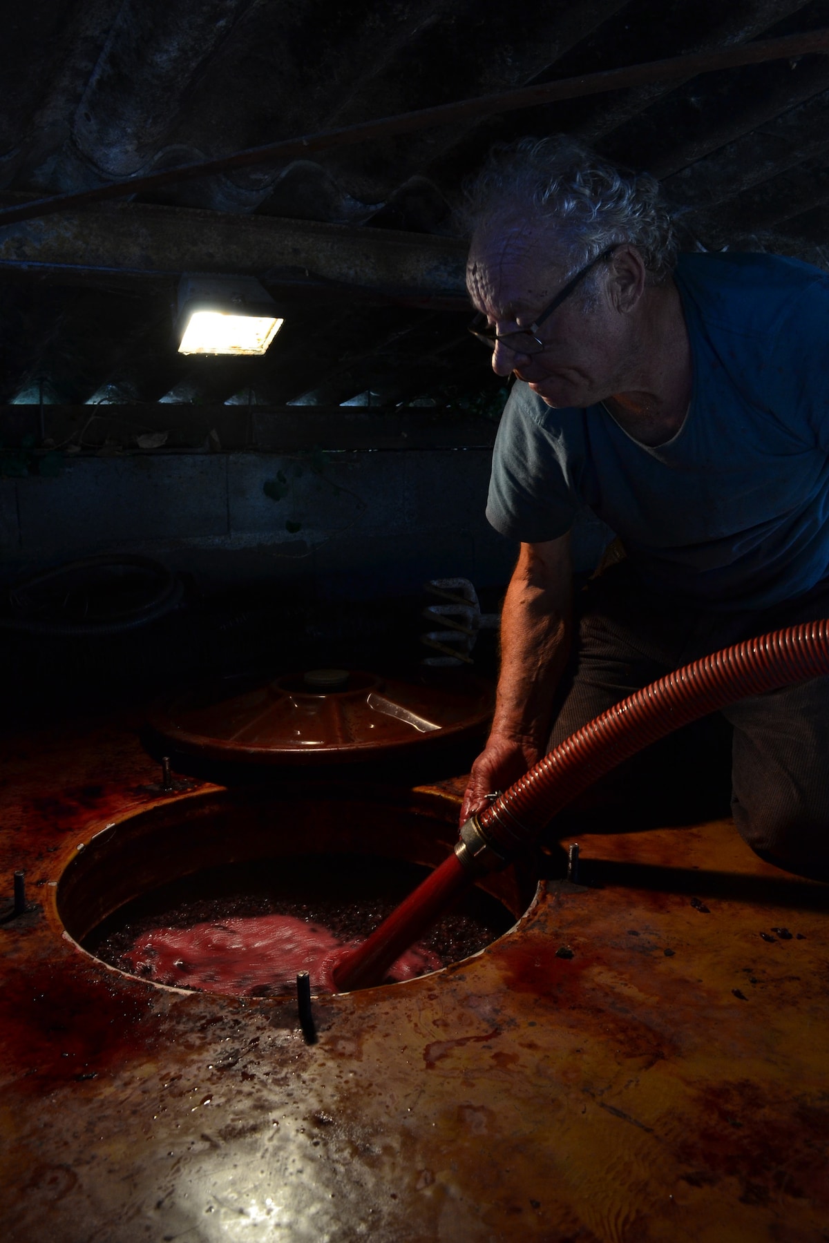 Tasting and visit to a family estate