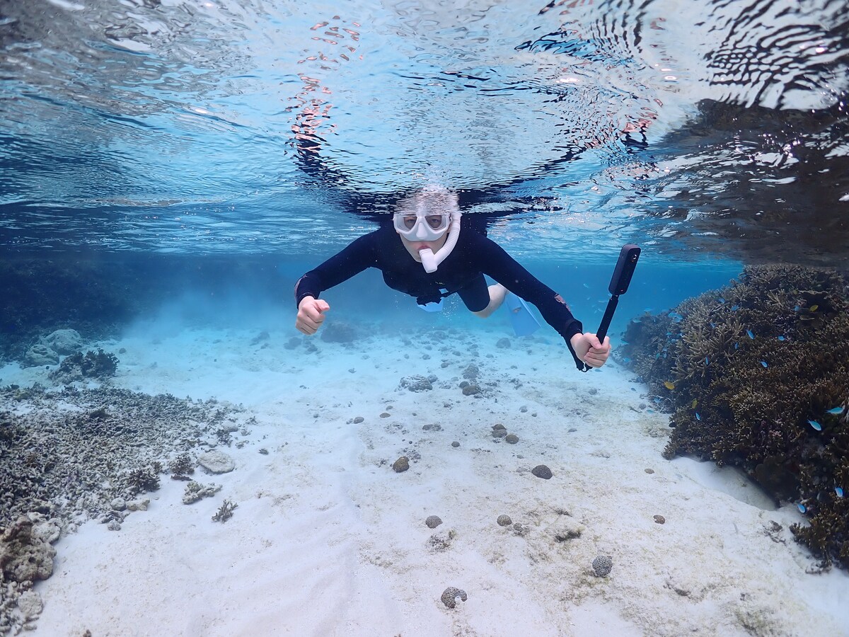 Snorkel in the crystal clear waters with an English-speaking guide