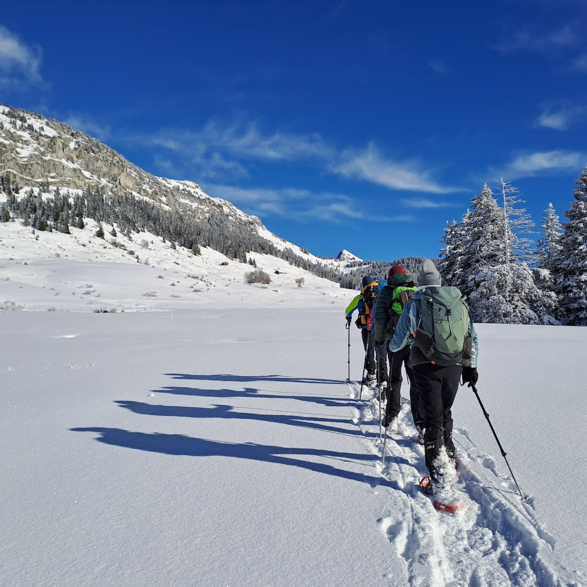 Snowshoeing & Wildlife Walk in Grand-Bornand