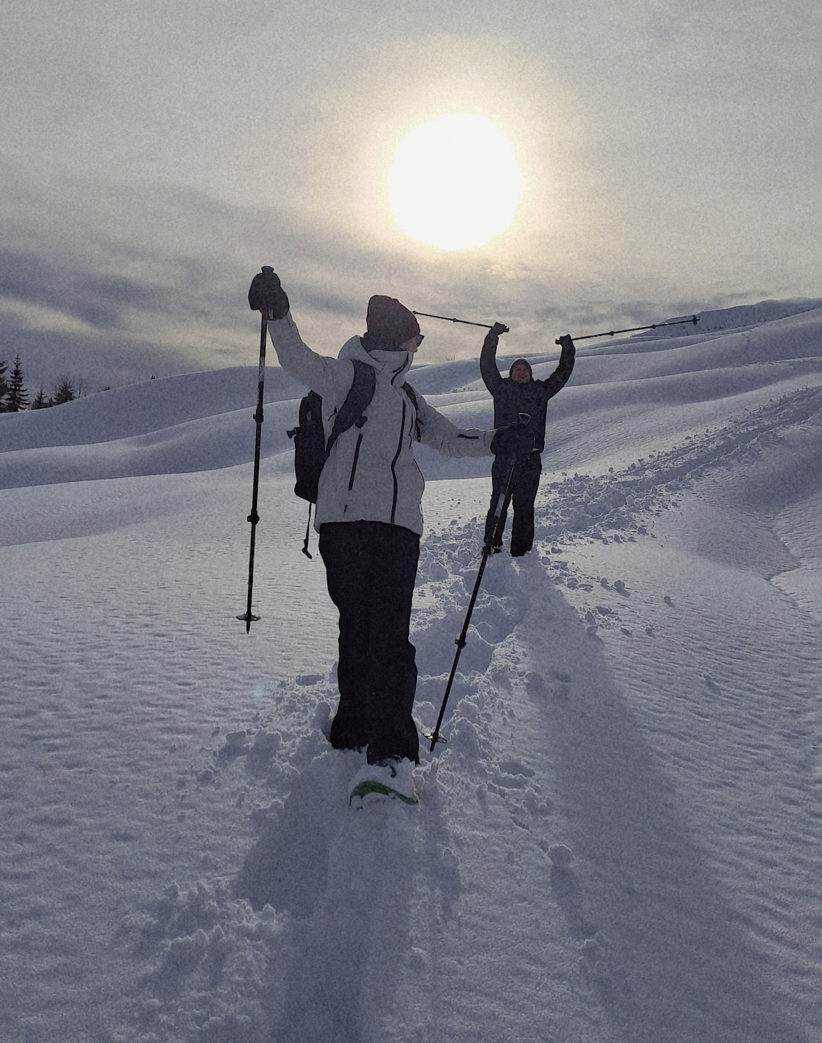 Snowshoeing & Wildlife Watching, Grand-Bornand